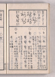24ウ