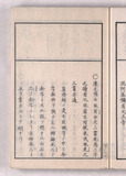 20オ
