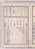 29オ