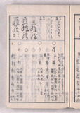 30オ