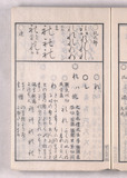 33オ