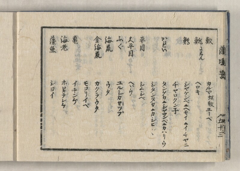 蝦夷方言藻汐草　坤巻 - ページ 8