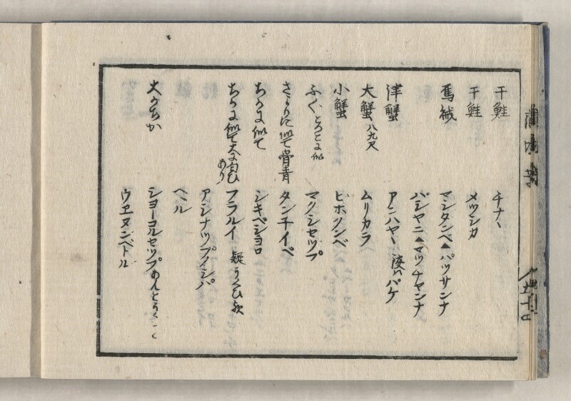 蝦夷方言藻汐草　坤巻 - ページ 10
