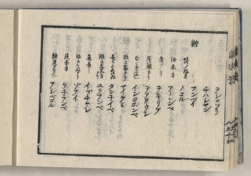 蝦夷方言藻汐草　坤巻 - ページ 12