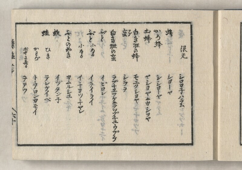 蝦夷方言藻汐草　坤巻 - ページ 21