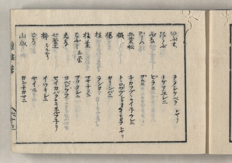 蝦夷方言藻汐草　坤巻 - ページ 27
