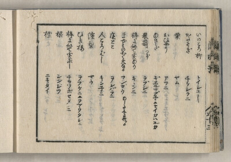 蝦夷方言藻汐草　坤巻 - ページ 28