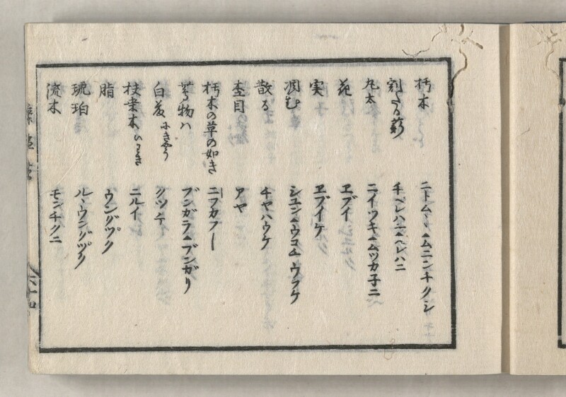 蝦夷方言藻汐草　坤巻 - ページ 29