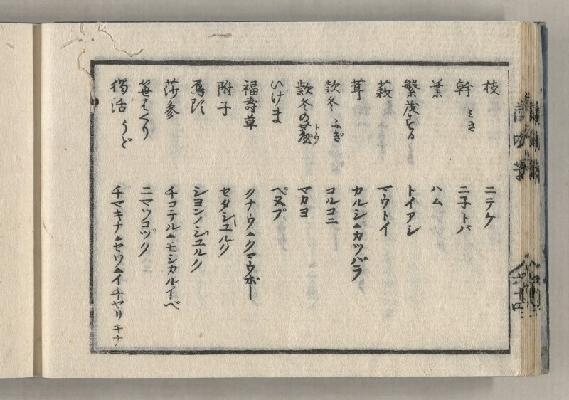 蝦夷方言藻汐草　坤巻 - ページ 30