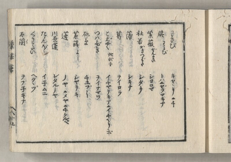 蝦夷方言藻汐草　坤巻 - ページ 31