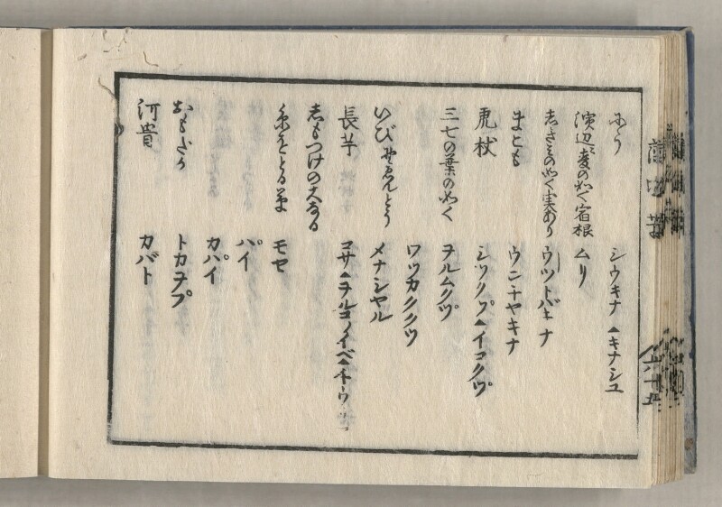 蝦夷方言藻汐草　坤巻 - ページ 32
