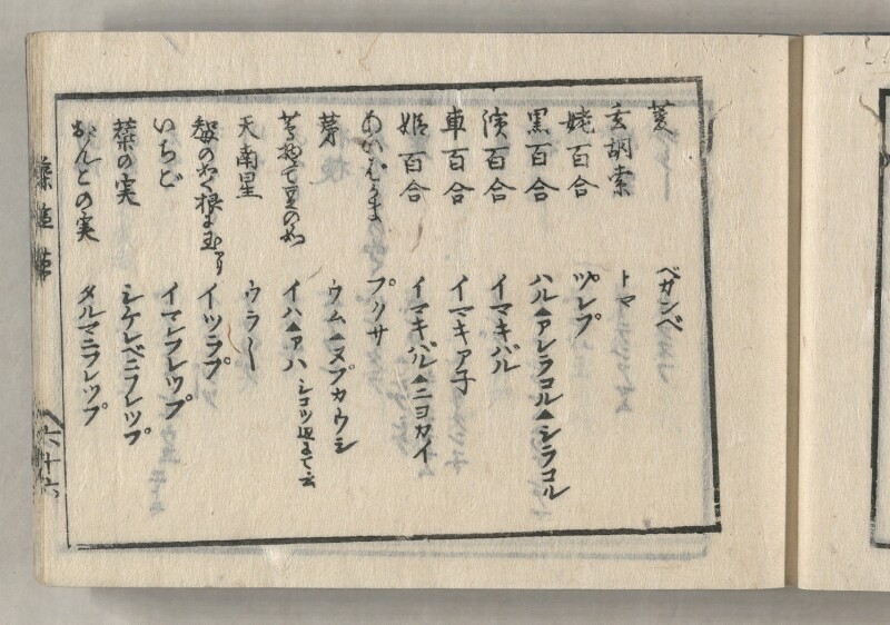 蝦夷方言藻汐草　坤巻 - ページ 33
