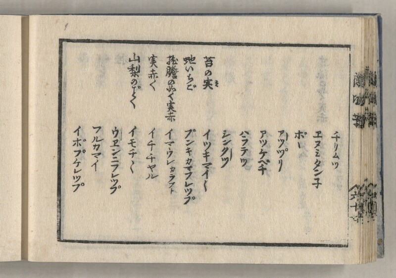蝦夷方言藻汐草　坤巻 - ページ 36