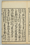 5オ