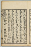 23オ