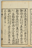 31オ