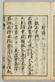 14オ