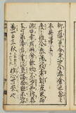 20オ