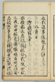 29オ