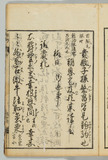 33オ