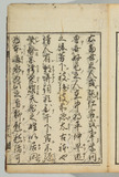 49オ
