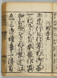 31オ