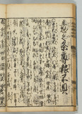 31ウ