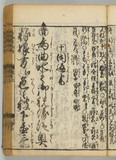 42オ
