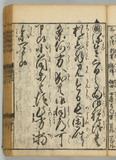 43オ