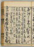 44オ
