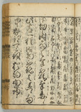 11オ