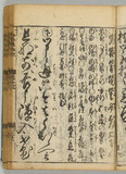 31オ