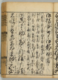 33オ