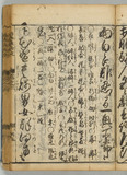 20オ