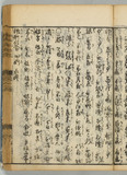 20オ