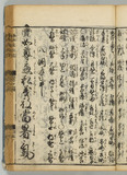31オ