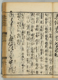 33オ