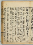 41オ