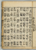 31オ