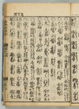 33オ