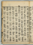 20オ