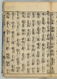 23オ