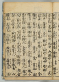25オ