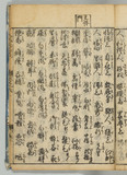 26オ