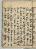 31オ