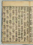 32オ