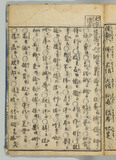 33オ