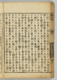 19ウ