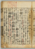 23ウ