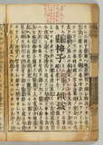 23ウ